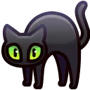 Scared Cat